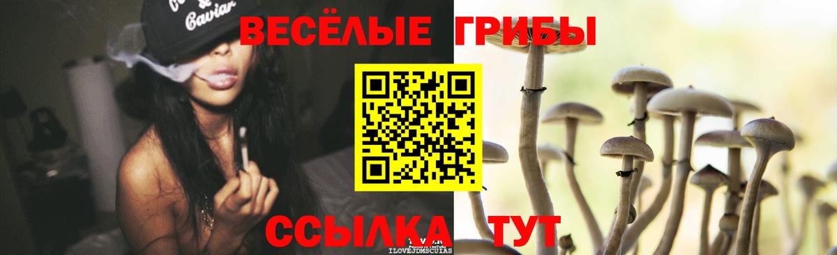 Галлюциногенные грибы мухоморы Клин